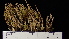  ( - RM19-10C)  @11 [ ] CreativeCommons  Attribution Non-Commercial Share-Alike (2022) Diane L. Haughland Unspecified