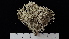  (Cladonia arbuscula - TM-016)  @11 [ ] CreativeCommons  Attribution Non-Commercial Share-Alike (2022) Diane L. Haughland Unspecified