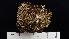 ( - TM-08C)  @11 [ ] CreativeCommons  Attribution Non-Commercial Share-Alike (2022) Diane L. Haughland Unspecified