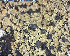  ( - DLH-2015-389)  @11 [ ] Unspecified (default): All Rights Reserved  Unspecified Unspecified