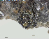  ( - DLH-2016-369)  @11 [ ] Unspecified (default): All Rights Reserved  Unspecified Unspecified