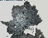  ( - DLH-2018-345.1)  @11 [ ] Unspecified (default): All Rights Reserved  Unspecified Unspecified