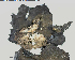  ( - DLH-2018-345.1)  @11 [ ] Unspecified (default): All Rights Reserved  Unspecified Unspecified