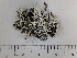  ( - DLH-2018-348)  @11 [ ] Unspecified (default): All Rights Reserved  Unspecified Unspecified