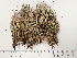  ( - DLH-Tombstone2018-20)  @11 [ ] Unspecified (default): All Rights Reserved  Unspecified Unspecified