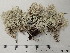  ( - DLH-Tombstone2018-8)  @11 [ ] Unspecified (default): All Rights Reserved  Unspecified Unspecified