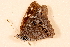  ( - DMTRN-0230)  @12 [ ] CreativeCommons - Attribution (2009) Unspecified Centre for Biodiversity Genomics