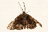  ( - DMTRN-0129)  @12 [ ] CreativeCommons - Attribution (2009) Unspecified Centre for Biodiversity Genomics