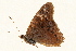  ( - DMTRN-0176)  @11 [ ] CreativeCommons - Attribution (2009) Unspecified Centre for Biodiversity Genomics