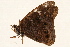  ( - DMTRN-0177)  @11 [ ] CreativeCommons - Attribution (2009) Unspecified Centre for Biodiversity Genomics