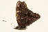  ( - DMTRN-0178)  @11 [ ] CreativeCommons - Attribution (2009) Unspecified Centre for Biodiversity Genomics