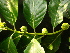  ( - BCMML10001GFS)  @11 [ ] Unspecified (default): All Rights Reserved (2015) Roopa. V and N. Mathivanan University of Madras