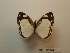  ( - DZ 17.642)  @11 [ ] Unspecified (default): All Rights Reserved  Unspecified Unspecified