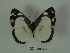  ( - DZ 20.522)  @13 [ ] Unspecified (default): All Rights Reserved  Unspecified Unspecified