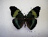  ( - DZ 20.549)  @14 [ ] Unspecified (default): All Rights Reserved  Unspecified Unspecified