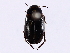  ( - BIOUG56894-E12)  @11 [ ] CreativeCommons - Attribution (2021) CBG Photography Group Centre for Biodiversity Genomics