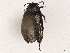  ( - BIOUG56894-G06)  @11 [ ] CreativeCommons - Attribution (2021) CBG Photography Group Centre for Biodiversity Genomics