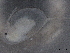  (Daphnia longiremis - BIOUG72930-G04)  @11 [ ] CreativeCommons - Attribution (2021) CBG Photography Group Centre for Biodiversity Genomics