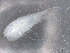  ( - BIOUG72932-C07)  @11 [ ] CreativeCommons - Attribution (2021) CBG Photography Group Centre for Biodiversity Genomics