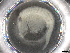  ( - BIOUG74678-E06)  @11 [ ] CreativeCommons - Attribution (2021) CBG Photography Group Centre for Biodiversity Genomics