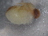  ( - BIOUG74681-A05)  @11 [ ] CreativeCommons - Attribution (2021) CBG Photography Group Centre for Biodiversity Genomics