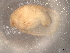  ( - BIOUG74682-B03)  @11 [ ] CreativeCommons - Attribution (2021) CBG Photography Group Centre for Biodiversity Genomics