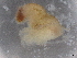  ( - BIOUG74682-D11)  @11 [ ] CreativeCommons - Attribution (2021) CBG Photography Group Centre for Biodiversity Genomics
