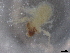  ( - BIOUG74685-H05)  @11 [ ] CreativeCommons - Attribution (2021) CBG Photography Group Centre for Biodiversity Genomics