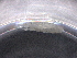  ( - BIOUG74688-C12)  @11 [ ] CreativeCommons - Attribution (2021) CBG Photography Group Centre for Biodiversity Genomics