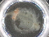  ( - BIOUG74688-D11)  @11 [ ] CreativeCommons - Attribution (2021) CBG Photography Group Centre for Biodiversity Genomics