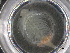  ( - BIOUG74688-E02)  @11 [ ] CreativeCommons - Attribution (2021) CBG Photography Group Centre for Biodiversity Genomics