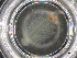  ( - BIOUG74688-E03)  @11 [ ] CreativeCommons - Attribution (2021) CBG Photography Group Centre for Biodiversity Genomics