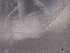  ( - BIOUG74693-B12)  @11 [ ] CreativeCommons - Attribution (2021) CBG Photography Group Centre for Biodiversity Genomics