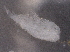  ( - BIOUG74693-C07)  @11 [ ] CreativeCommons - Attribution (2021) CBG Photography Group Centre for Biodiversity Genomics