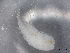  ( - BIOUG74698-G05)  @11 [ ] CreativeCommons - Attribution (2021) CBG Photography Group Centre for Biodiversity Genomics