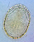  ( - CCDB-3867-E09)  @11 [ ] CreativeCommons - Attribution Share-Alike (2021) Unspecified Department of Biology, Faculty of Sciences and Mathematics, Podgorica