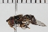  ( - KLMDip00394)  @11 [ ] © (2035) Heimburg Landesmuseum Kaernten