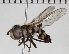  ( - KLMDip00414)  @11 [ ] © (2055) Heimburg Landesmuseum Kaernten