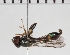  ( - KLMDip00458)  @11 [ ] © (2099) Heimburg Landesmuseum Kaernten