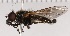  ( - KLM Dip 00055)  @11 [ ] CreativeCommons - Attribution Non-Commercial Share-Alike (2020) Helge Heimburg Landesmuseum Kärnten