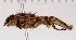  ( - KLM Dip 00119)  @11 [ ] CreativeCommons - Attribution Non-Commercial Share-Alike (2020) Helge Heimburg Landesmuseum Kärnten