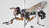  ( - KLM Dip 00193)  @11 [ ] CreativeCommons Attribution NonCommercial ShareAlike (2020) Helge Heimburg Landesmuseum Kaernten