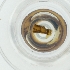  ( - DODD_017_C2)  @11 [ ] by  Genome Research Ltd as Wellcome Sanger Institute Genome Research Limited operating as Wellcome Sanger Institute