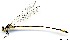  (Heteragrion aequatoriale cf - WH-EO-0077)  @11 [ ] CreativeCommons - Attribution Non-Commercial (2014) William Haber University of Connecticut, Storrs, CT