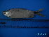  ( - DO-AK 054)  @13 [ ] Unspecified (default): All Rights Reserved  Unspecified Unspecified