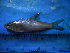  ( - DO-AR026)  @12 [ ] Unspecified (default): All Rights Reserved  Unspecified Unspecified