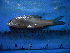  ( - DO-AR028)  @12 [ ] Unspecified (default): All Rights Reserved  Unspecified Unspecified