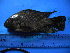  ( - DO-LK009)  @12 [ ] Unspecified (default): All Rights Reserved  Unspecified Unspecified