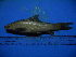  ( - DO-YW005)  @13 [ ] Unspecified (default): All Rights Reserved  Unspecified Unspecified