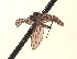  ( - CNC1155783)  @11 [ ] No Rights Reserved (nrr) (2022) Unspecified CNC
